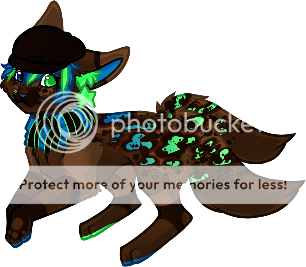 User Image